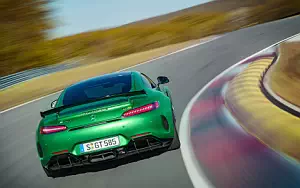 Cars wallpapers Mercedes-AMG GT R - 2016