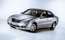 Cars wallpapers Mercedes-Benz E-class Classic - 2006