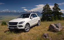 Cars wallpapers Mercedes-Benz ML350 4MATIC BlueEFFICIENCY - 2011