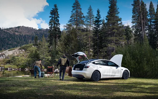 Cars wallpapers Tesla Model 3 Standard - 2025
