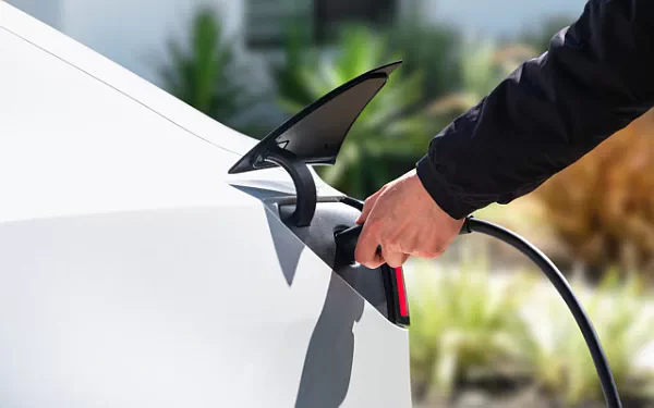 Cars wallpapers Tesla Model 3 Standard - 2025